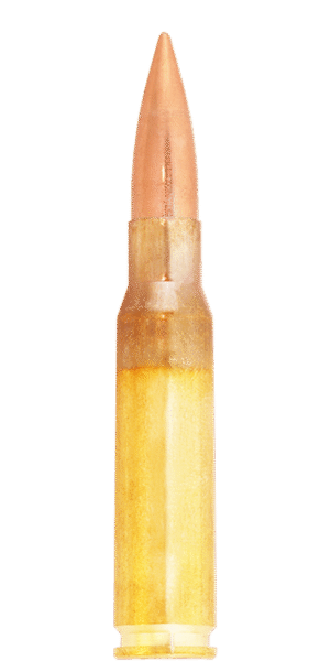 .308 WIN LAPUA B476 FMJBT 11,0g