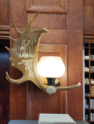 ARTURE SEINALAMP HIRVE MOTIIVIGA VASAK