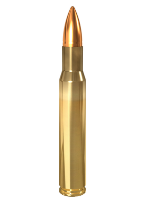 .30-06 LAPUA S374 FMJ 8,0g