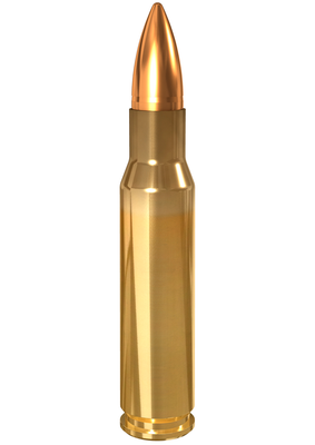 .308 WIN LAPUA S374 FMJ 8,0g