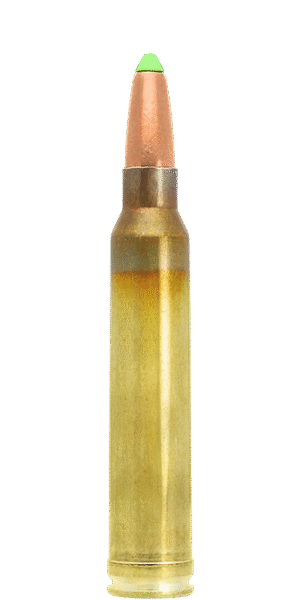 .300 WIN MAG LAPUA N558 NATURALIS 11,0g