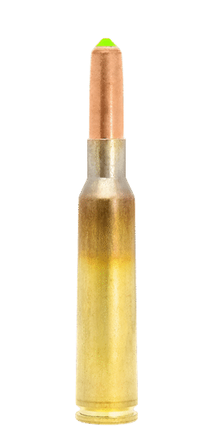 6,5X55 LAPUA N563 NATURALIS 9,1 g